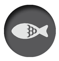 Meat, Fish and Seafood